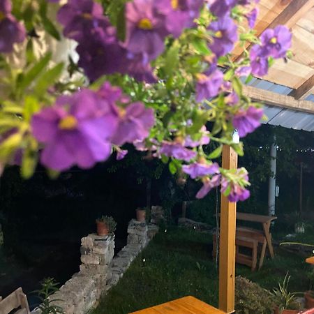 Guesthouse Kujtimi Theth Εξωτερικό φωτογραφία
