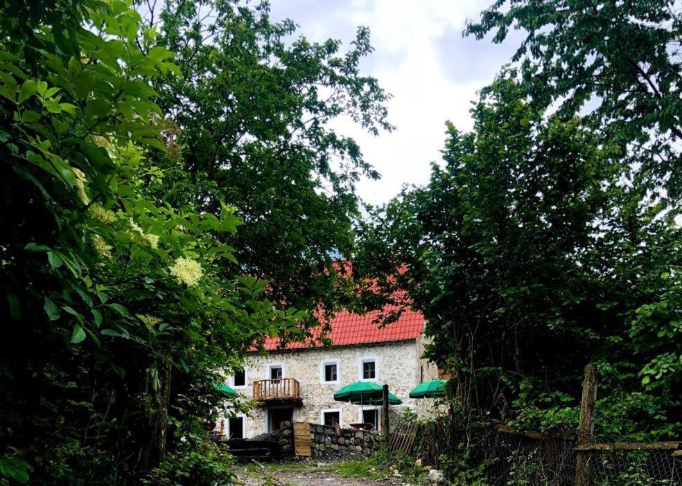 Guesthouse Kujtimi Theth Εξωτερικό φωτογραφία
